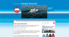 Desktop Screenshot of nanortaliktourism.com